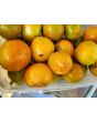 Tomato 'Bleeding Heart' Seeds (Certified Organic)
