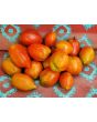Tomato 'Speckled Roman' 