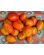 Tomato 'Speckled Roman' 