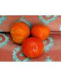 Tomato 'Zogola'