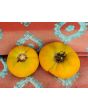 Tomato 'Yellow Jubilee'