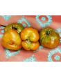 Tomato 'Paul Robeson'