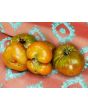 Tomato 'Paul Robeson'