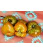 Tomato 'Paul Robeson'