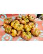 Tomato 'Purple Calabash'