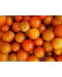Tomato 'Flavor Bomb' Seeds