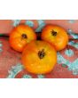 Tomato 'Anthony Bourdain' AKA ‘Anthony’s Passionate Heart’