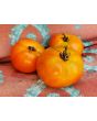 Tomato 'Anthony Bourdain' AKA ‘Anthony’s Passionate Heart’