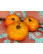 Tomato 'Anthony Bourdain' AKA ‘Anthony’s Passionate Heart’