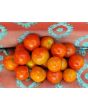Tomato 'Amy's Sugar Gem' 