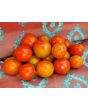 Tomato 'Amy's Sugar Gem' 