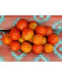 Tomato 'Amy's Sugar Gem' 
