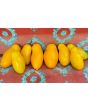 Tomato 'Banana Legs'