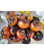 Tomato 'Blue Beauty' 