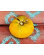 Tomato 'Marzipan Gold' Seeds (Certified Organic)