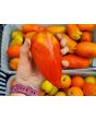 Tomato 'Jersey Giant'