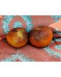 Tomato 'Kaleidoscopic Jewel' Seeds (Certified Organic)