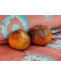 Tomato 'Kaleidoscopic Jewel' Seeds (Certified Organic)
