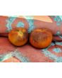 Tomato 'Kaleidoscopic Jewel' Seeds (Certified Organic)