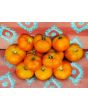 Tomato '3rd' Seeds (Certified Organic)