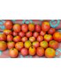 Tomato 'Amerikanskiy Sladkiy' 