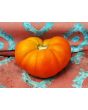 Tomato 'Chapman' 