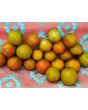 Tomato 'Black and Red Boar' 