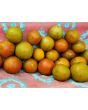 Tomato 'Black and Red Boar' 