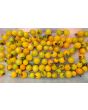 Tomato 'Yellow Plot Mystery Cherry'