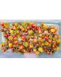 Litchi Tomato AKA Morelle de Balbis 