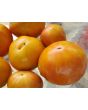 Tomato 'Bleeding Heart' Seeds (Certified Organic)
