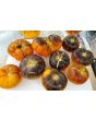 Tomato 'Ananas Bleue'