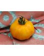 Tomato 'Lava Flow' Seeds (Certified Organic)