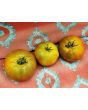 Tomato 'Everett's Rusty Brown' Seeds (Certified Organic)