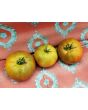 Tomato 'Everett's Rusty Brown' Seeds (Certified Organic)
