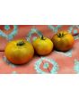 Tomato 'Everett's Rusty Brown' Seeds (Certified Organic)