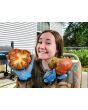 Tomato 'Blood Moon' Seeds (Certified Organic)