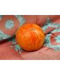 Tomato 'Roughwood Golden Tiger' 
