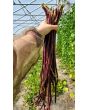 Pole Yard Long Bean 'Chinese Red Noodle' 