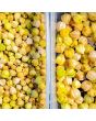Peruvian Ground Cherry Seeds (Certified Organic)