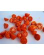 Tomato 'Ropreco Paste' Seeds (Certified Organic)