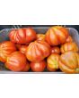 Tomato 'Belmonte'