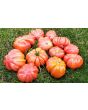 Tomato 'Mushroom Basket' 