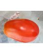 Tomato 'Roma'