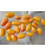 Tomato 'Blush'