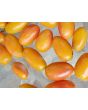 Tomato 'Blush'