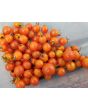 Tomato 'Hundreds and Thousands'