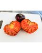 Tomato 'Dark Galaxy' 