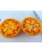 Tomato 'Djena Lee Golden Girl'