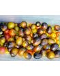 Tomato 'Brad's Atomic Grape'